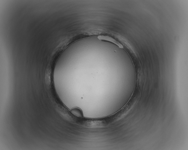 X0000112160501200908211437