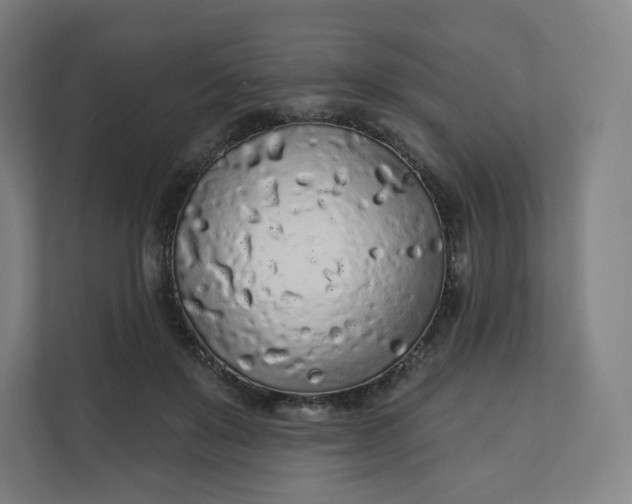 X0000112160503200908211437