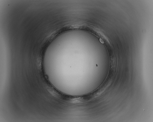 X0000112160505200908211437