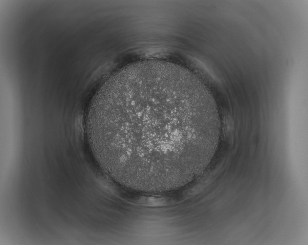 X0000112160506200908211437
