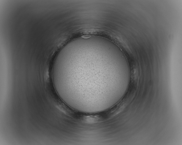 X0000112160508200908211437