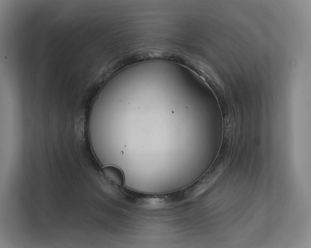 X0000112160509200908211437