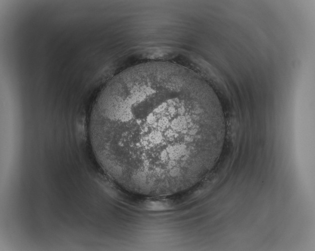 X0000112160510200908211437