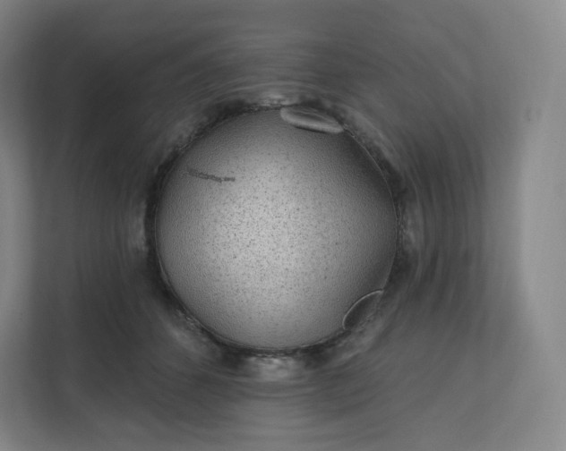 X0000112160512200908211437