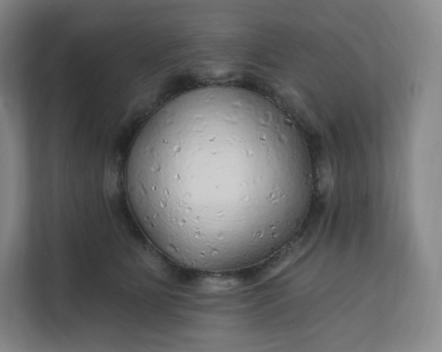 X0000112160515200908211437