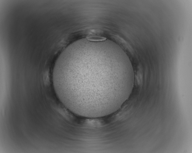 X0000112160520200908211437