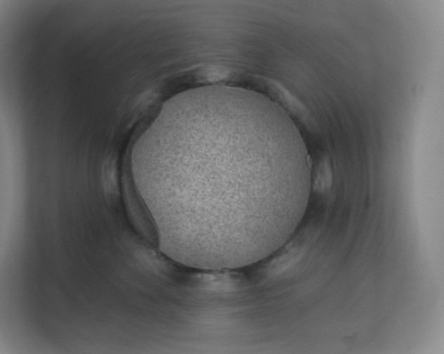 X0000112160524200908211437