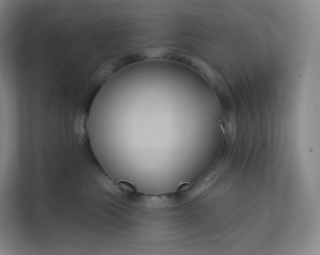 X0000112160525200908211437
