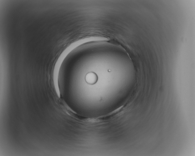 X0000112160528200908211437
