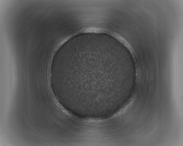 X0000112160529200908211436