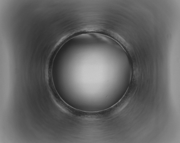 X0000112160530200908211436