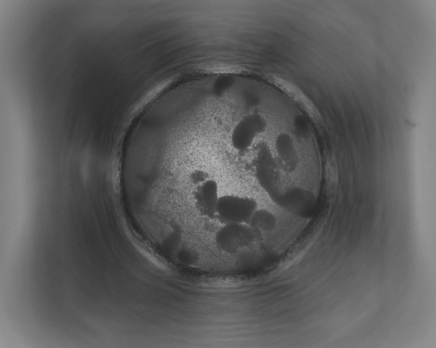X0000112160533200908211436