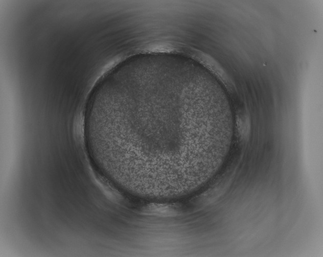 X0000112160534200908211436