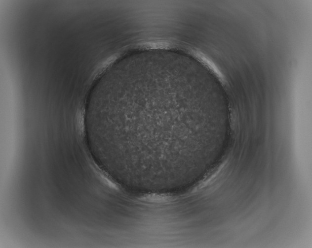 X0000112160537200908211436