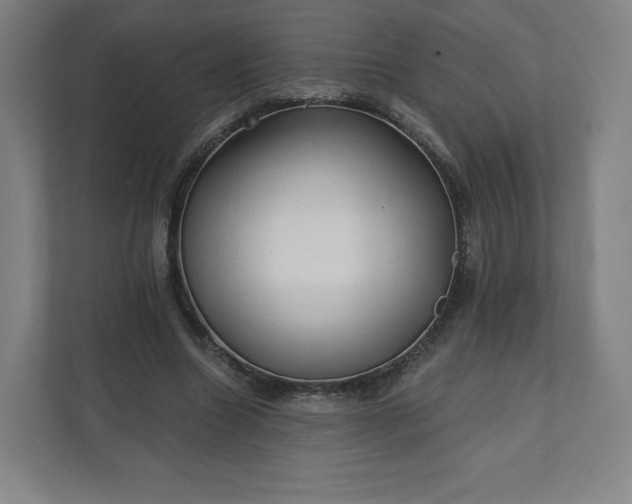 X0000112160538200908211436