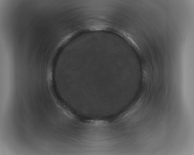 X0000112160539200908211436