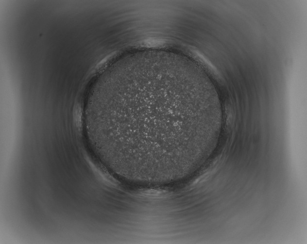 X0000112160542200908211436