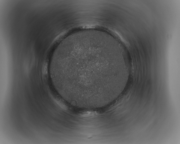 X0000112160543200908211436