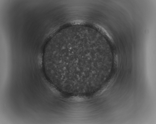 X0000112160545200908211436