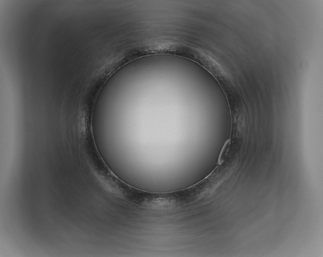 X0000112160546200908211436