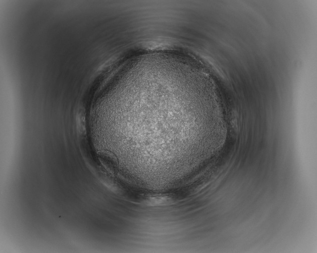 X0000112160547200908211436