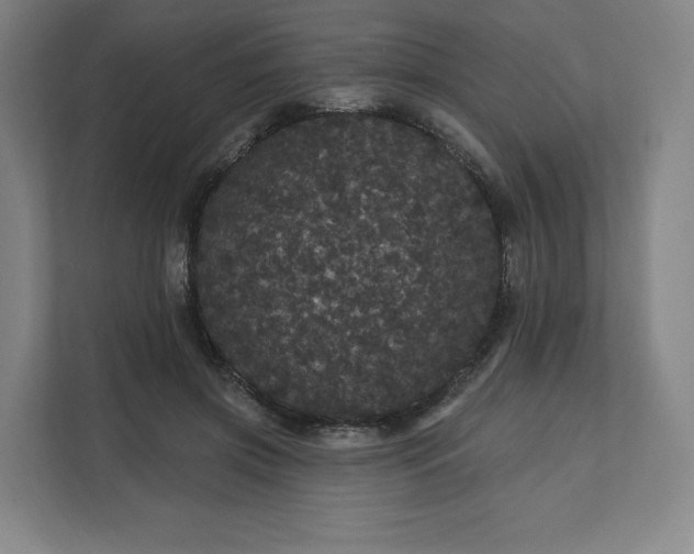 X0000112160549200908211436