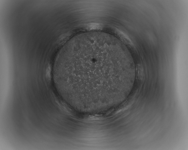 X0000112160550200908211436