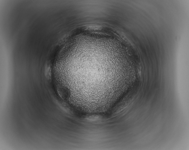 X0000112160551200908211436