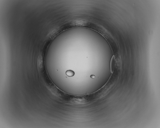 X0000112160552200908211436