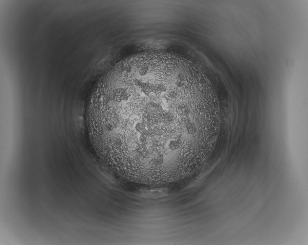 X0000112160553200908211436