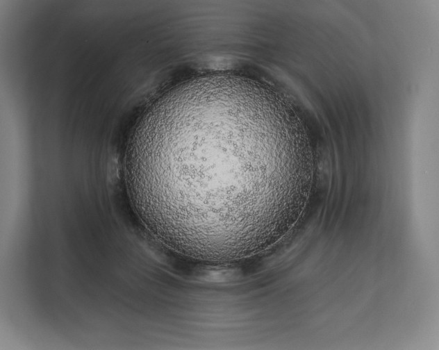 X0000112160555200908211436