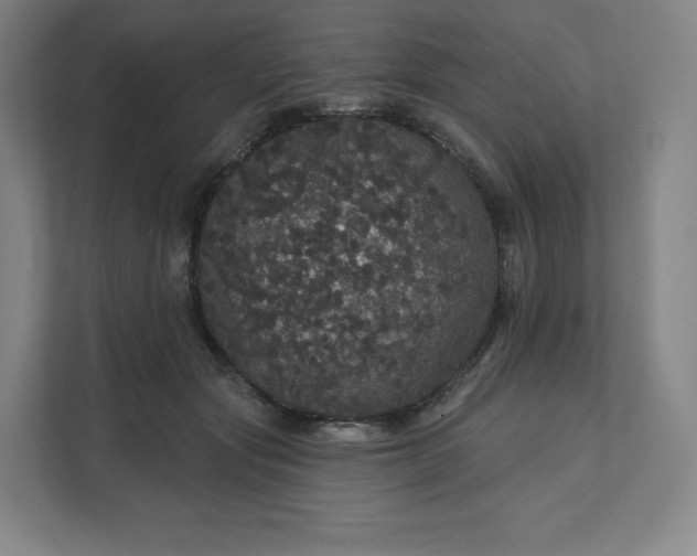X0000112160557200908211436
