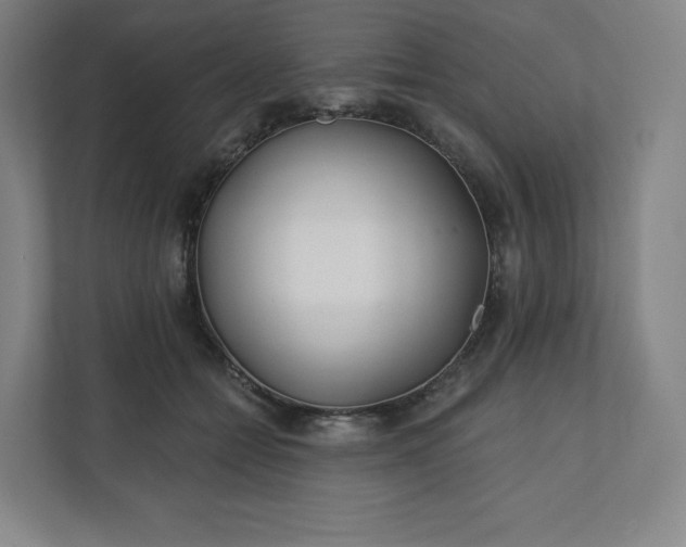 X0000112160558200908211436