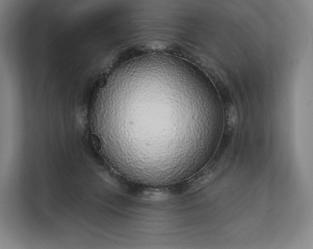 X0000112160559200908211436
