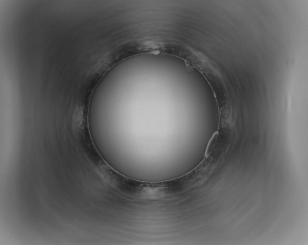 X0000112160560200908211436