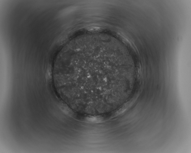 X0000112160561200908211436