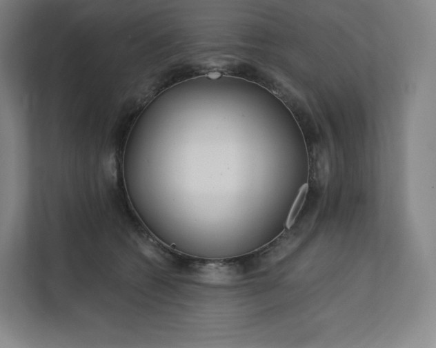 X0000112160562200908211436