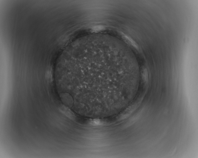 X0000112160565200908211436