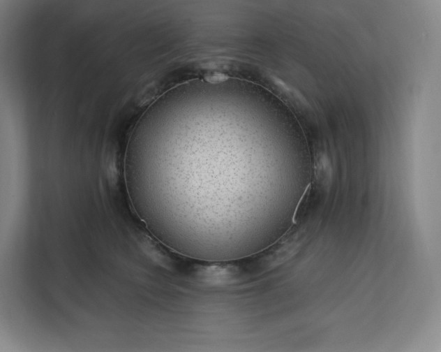 X0000112160566200908211436