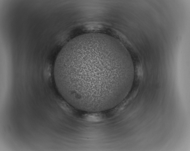 X0000112160567200908211436