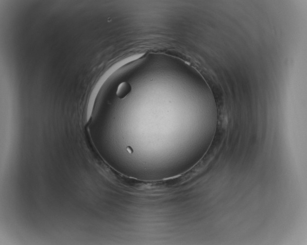 X0000112160568200908211436