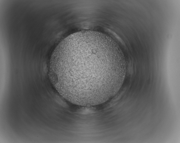 X0000112160569200908211436
