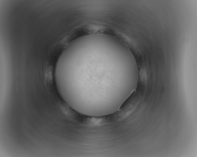 X0000112160570200908211436