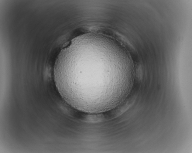 X0000112160571200908211436
