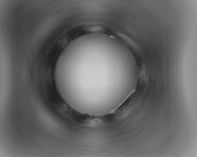 X0000112160572200908211436