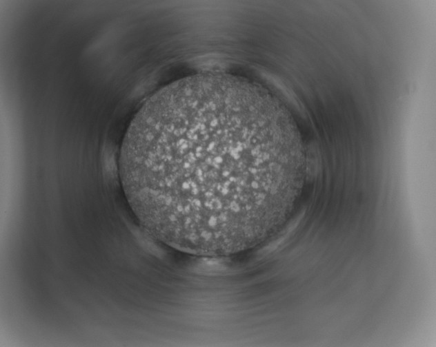 X0000112160573200908211437