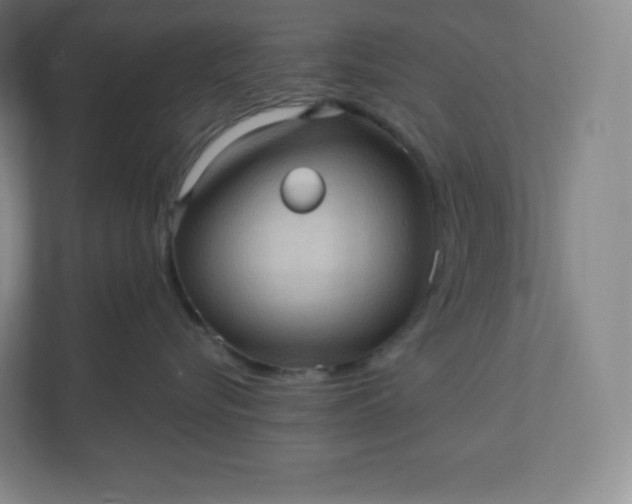 X0000112160576200908211437