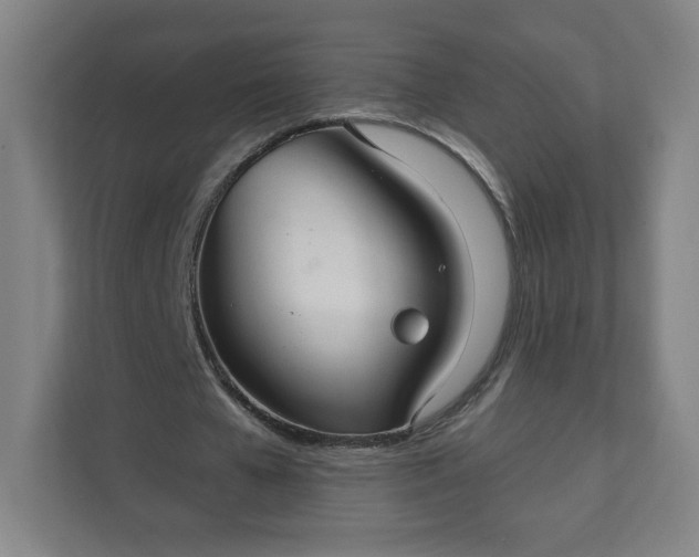 X0000112160577200908211436