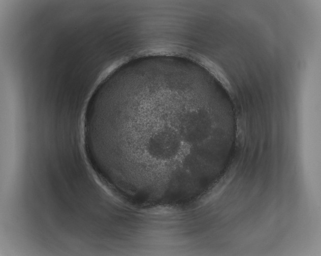 X0000112160578200908211436
