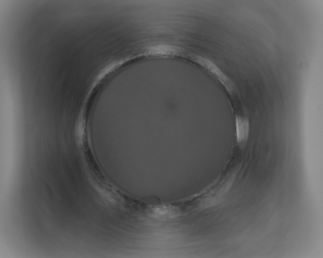 X0000112160579200908211436